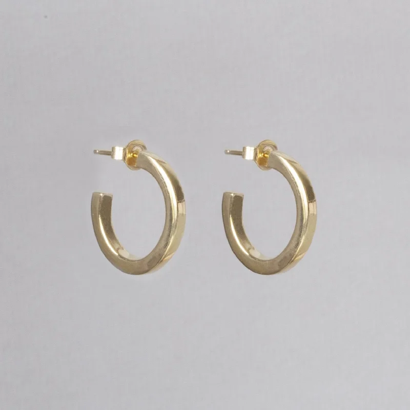 Best hoop earrings with oval shapes for a unique and elongated design-Gold Plated Chunky Hoop Earrings